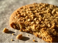 Hazelnut Cookie